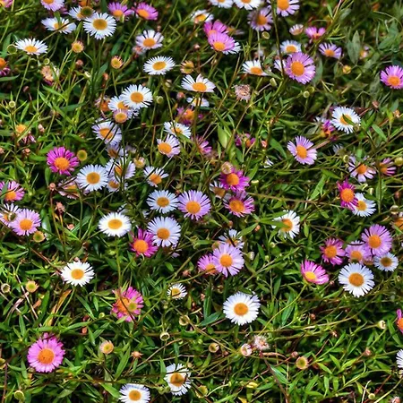 Сasa de vacaciones Corte Del Rondiellu 2 Onís